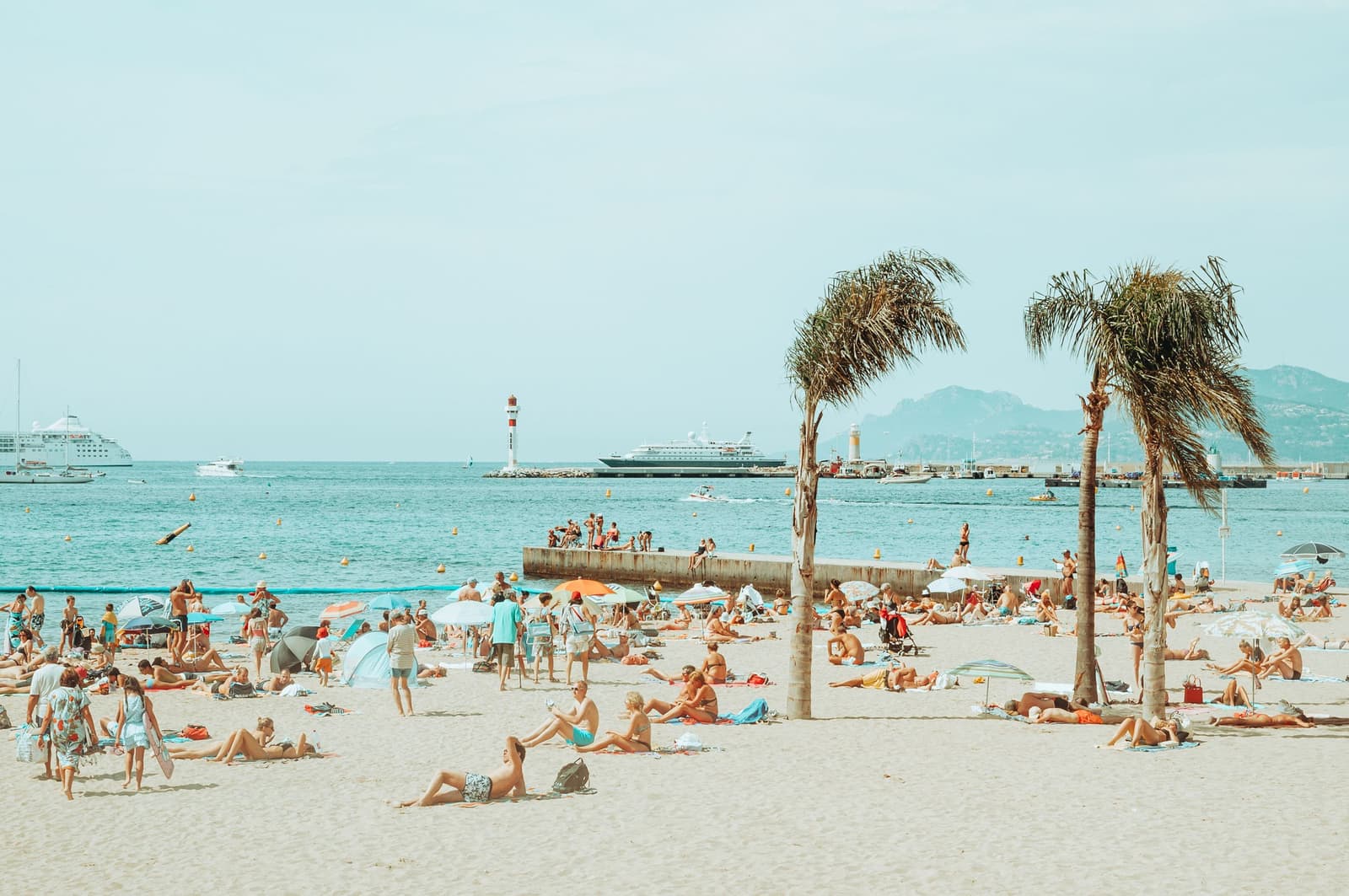 La plage de la Croisette à Cannes, bordée de palmiers sous le soleil